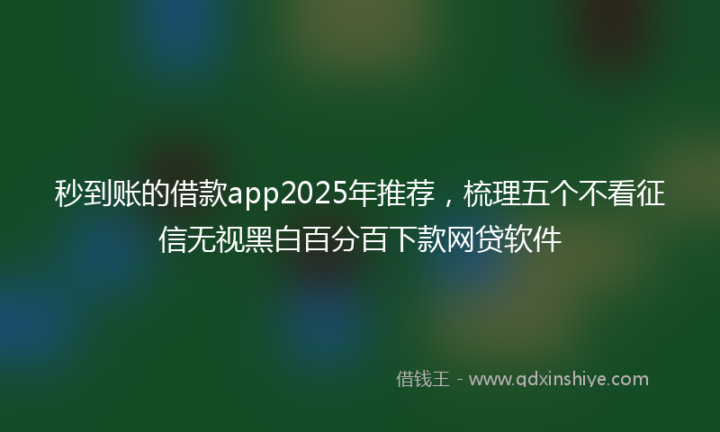 秒到账的借款app2025年推荐，梳理五个不看征信无视黑白百分百下款网贷软件