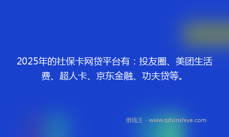 2025年的社保卡网贷平台有：投友圈、美团生活费、超人卡、京东金融、功夫贷等。