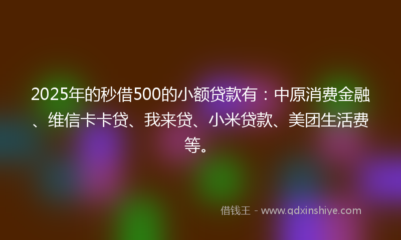 2025年的秒借500的小额贷款有：中原消费金融、维信卡卡贷、我来贷、小米贷款、美团生活费等。