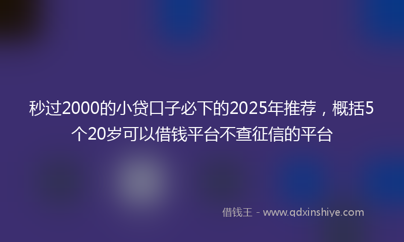 秒过2000的小贷口子必下的2025年推荐，概括5个20岁可以借钱平台不查征信的平台