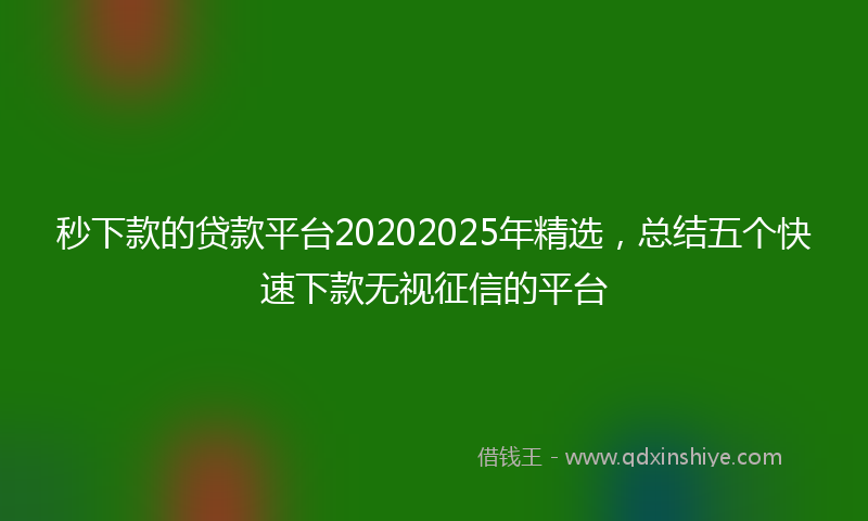 秒下款的贷款平台20202025年精选，总结五个快速下款无视征信的平台