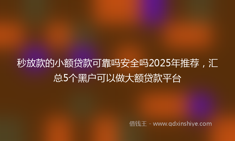 秒放款的小额贷款可靠吗安全吗2025年推荐，汇总5个黑户可以做大额贷款平台
