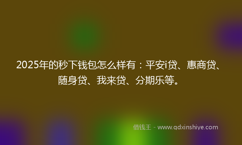 2025年的秒下钱包怎么样有：平安i贷、惠商贷、随身贷、我来贷、分期乐等。