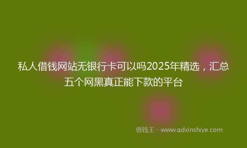 私人借钱网站无银行卡可以吗2025年精选，汇总五个网黑真正能下款的平台