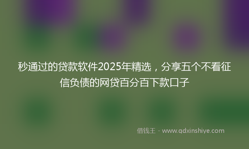 秒通过的贷款软件2025年精选，分享五个不看征信负债的网贷百分百下款口子