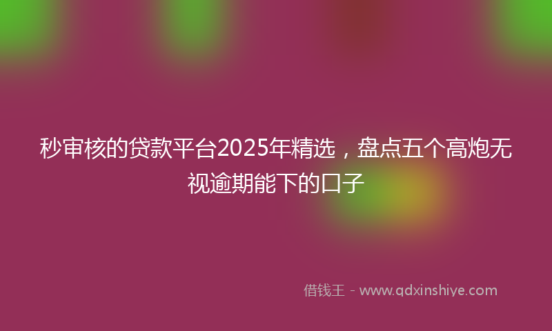 秒审核的贷款平台2025年精选，盘点五个高炮无视逾期能下的口子
