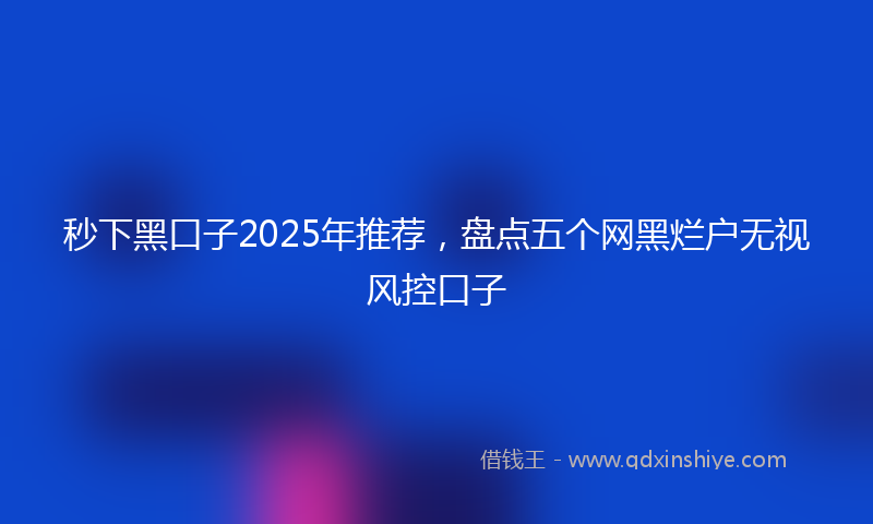秒下黑口子2025年推荐，盘点五个网黑烂户无视风控口子