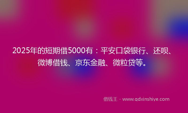 2025年的短期借5000有：平安口袋银行、还呗、微博借钱、京东金融、微粒贷等。