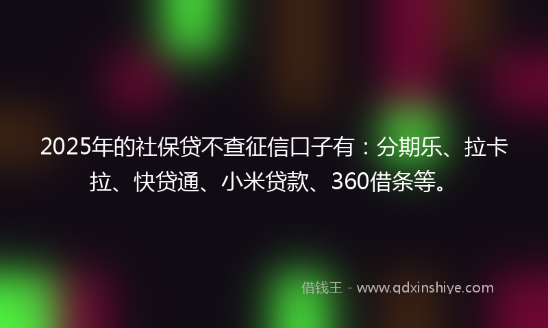 2025年的社保贷不查征信口子有：分期乐、拉卡拉、快贷通、小米贷款、360借条等。