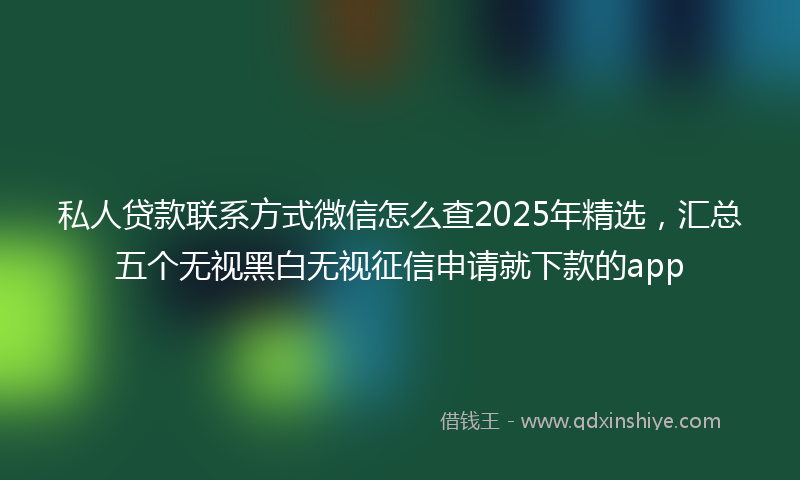 私人贷款联系方式微信怎么查2025年精选，汇总五个无视黑白无视征信申请就下款的app