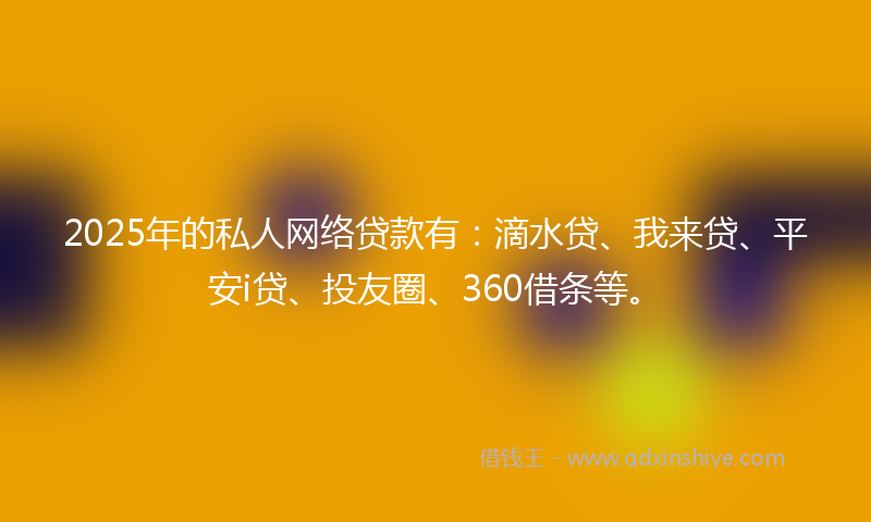 2025年的私人网络贷款有：滴水贷、我来贷、平安i贷、投友圈、360借条等。
