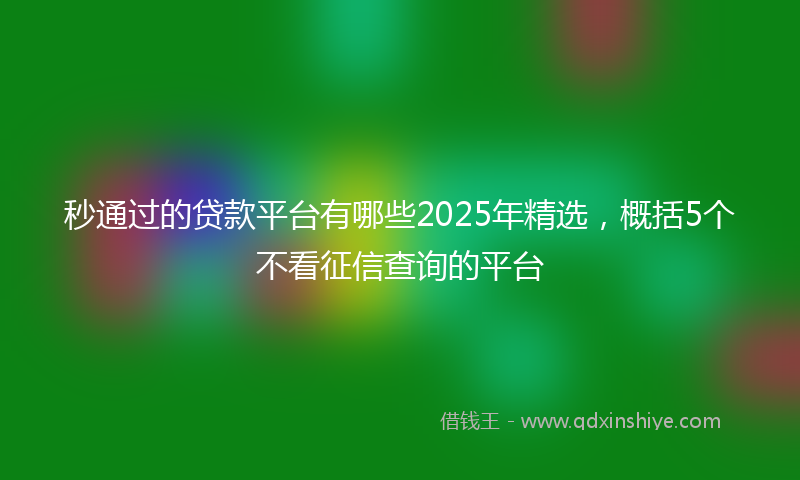 秒通过的贷款平台有哪些2025年精选，概括5个不看征信查询的平台