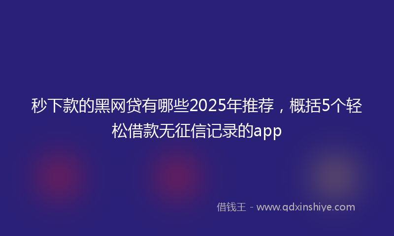 秒下款的黑网贷有哪些2025年推荐，概括5个轻松借款无征信记录的app