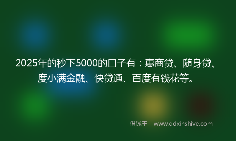2025年的秒下5000的口子有：惠商贷、随身贷、度小满金融、快贷通、百度有钱花等。