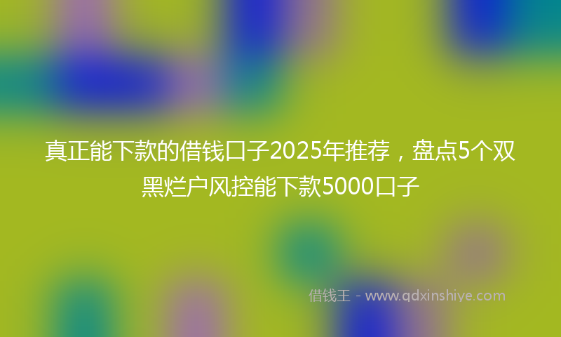 真正能下款的借钱口子2025年推荐，盘点5个双黑烂户风控能下款5000口子