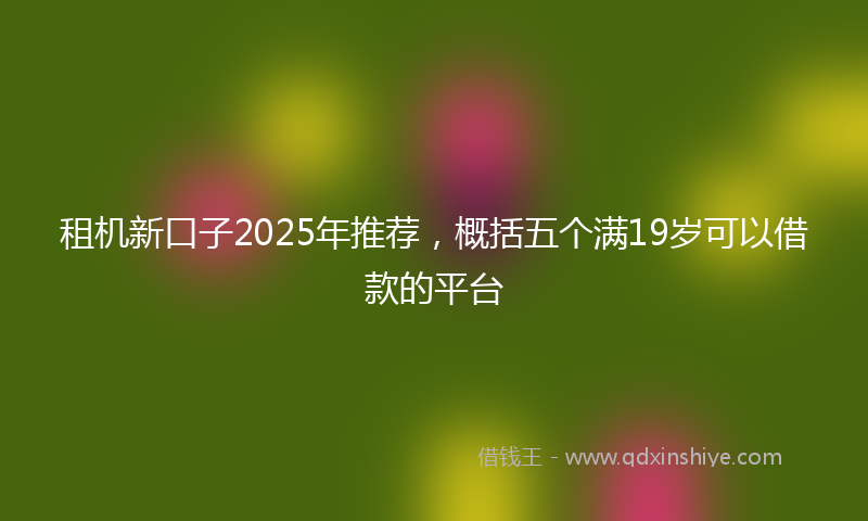 租机新口子2025年推荐，概括五个满19岁可以借款的平台