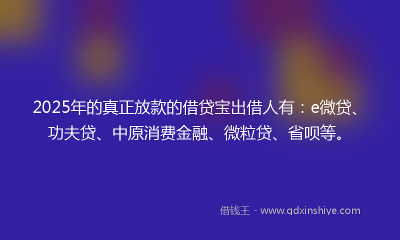 2025年的真正放款的借贷宝出借人有：e微贷、功夫贷、中原消费金融、微粒贷、省呗等。