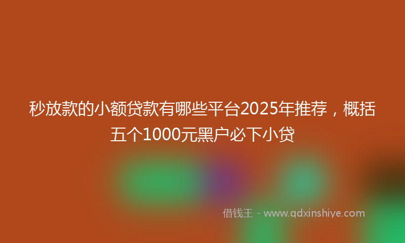 秒放款的小额贷款有哪些平台2025年推荐，概括五个1000元黑户必下小贷