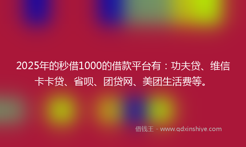 2025年的秒借1000的借款平台有：功夫贷、维信卡卡贷、省呗、团贷网、美团生活费等。