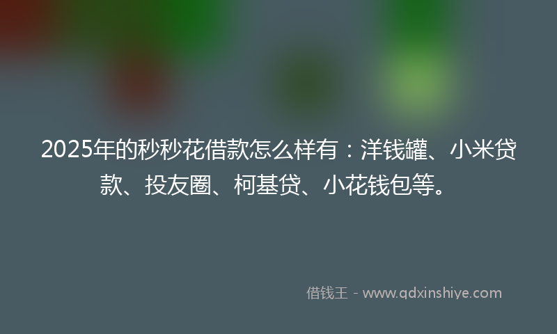 2025年的秒秒花借款怎么样有：洋钱罐、小米贷款、投友圈、柯基贷、小花钱包等。
