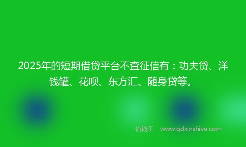 2025年的短期借贷平台不查征信有:功夫贷、洋钱罐、花呗、东方汇、随身贷等。