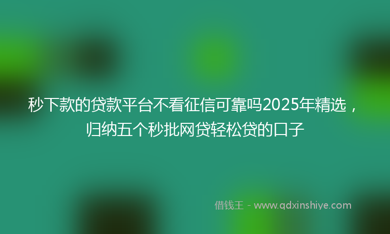 秒下款的贷款平台不看征信可靠吗2025年精选，归纳五个秒批网贷轻松贷的口子