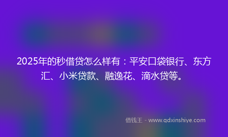 2025年的秒借贷怎么样有：平安口袋银行、东方汇、小米贷款、融逸花、滴水贷等。