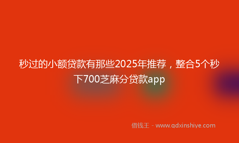 秒过的小额贷款有那些2025年推荐，整合5个秒下700芝麻分贷款app