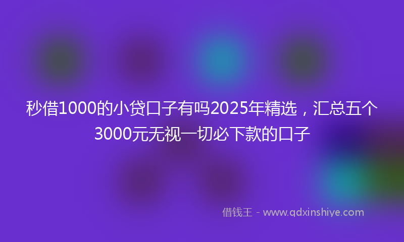 秒借1000的小贷口子有吗2025年精选，汇总五个3000元无视一切必下款的口子