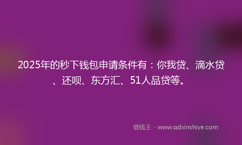 2025年的秒下钱包申请条件有：你我贷、滴水贷、还呗、东方汇、51人品贷等。