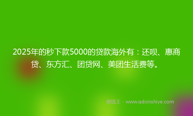 2025年的秒下款5000的贷款海外有：还呗、惠商贷、东方汇、团贷网、美团生活费等。