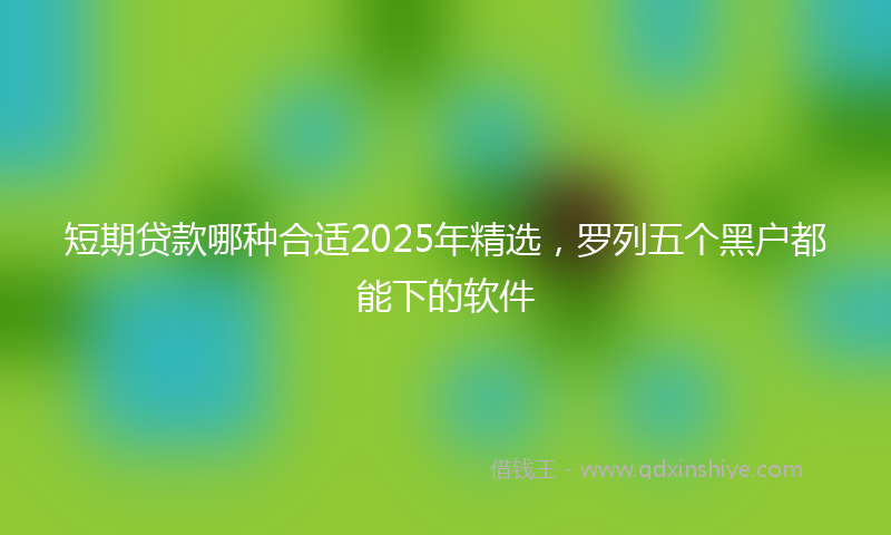 短期贷款哪种合适2025年精选,罗列五个黑户都能下的软件