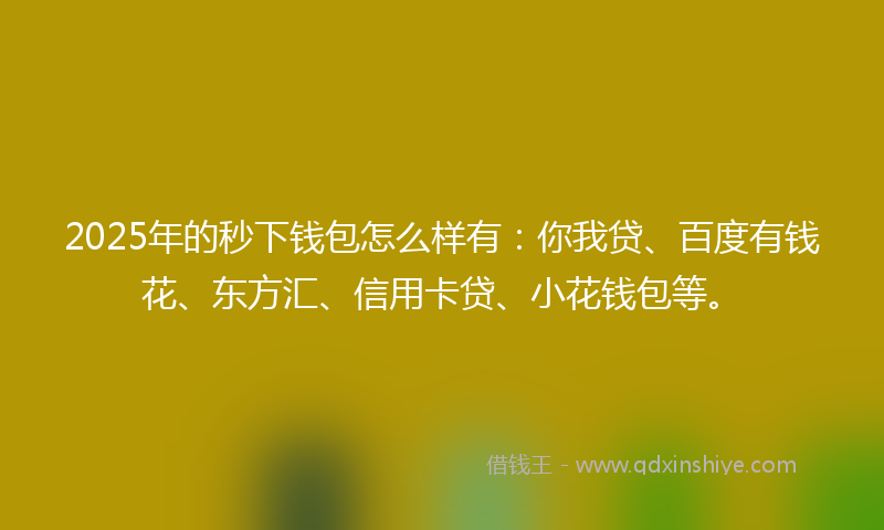 2025年的秒下钱包怎么样有：你我贷、百度有钱花、东方汇、信用卡贷、小花钱包等。