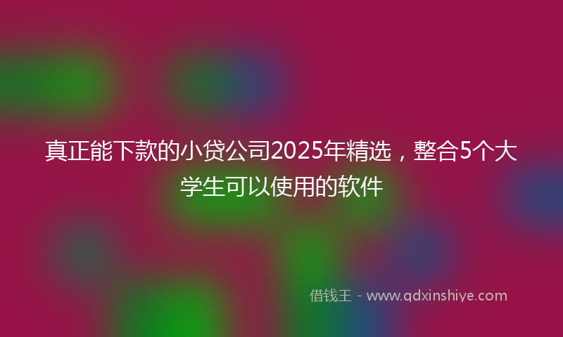 真正能下款的小贷公司2025年精选，整合5个大学生可以使用的软件