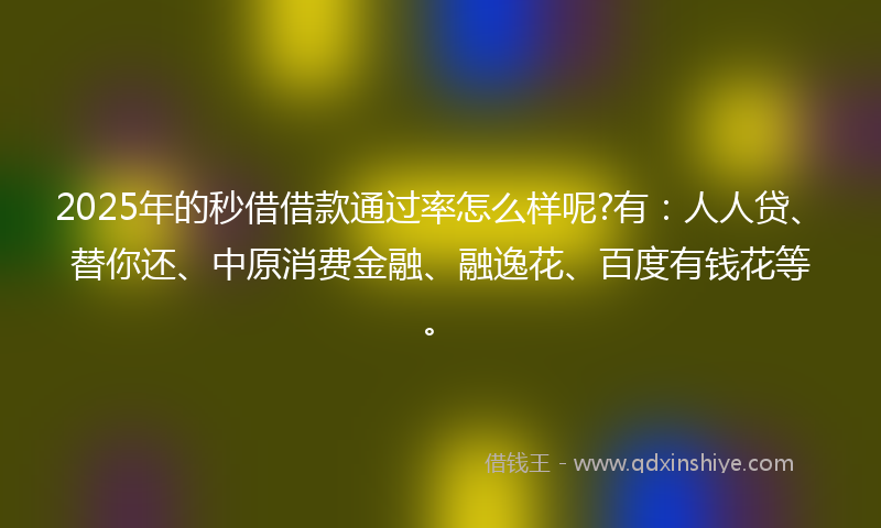 2025年的秒借借款通过率怎么样呢?有：人人贷、替你还、中原消费金融、融逸花、百度有钱花等。