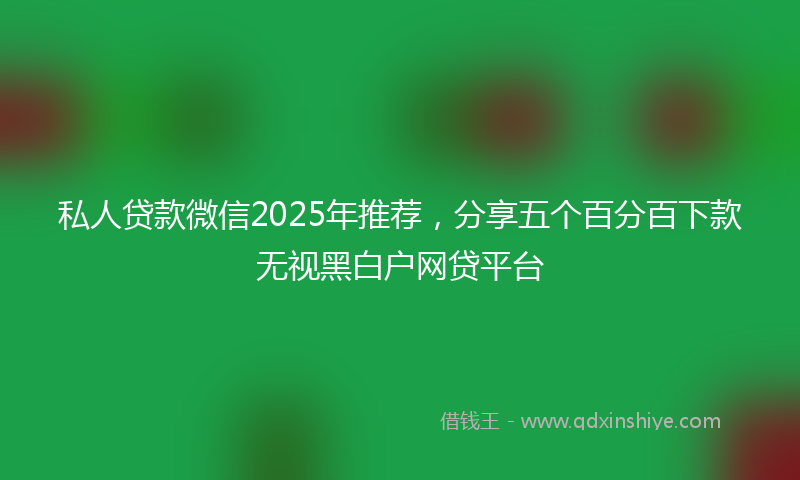 私人贷款微信2025年推荐，分享五个百分百下款无视黑白户网贷平台
