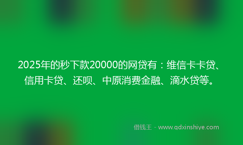 2025年的秒下款20000的网贷有：维信卡卡贷、信用卡贷、还呗、中原消费金融、滴水贷等。