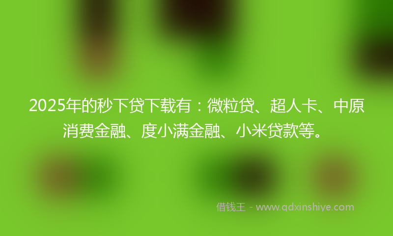 2025年的秒下贷下载有：微粒贷、超人卡、中原消费金融、度小满金融、小米贷款等。