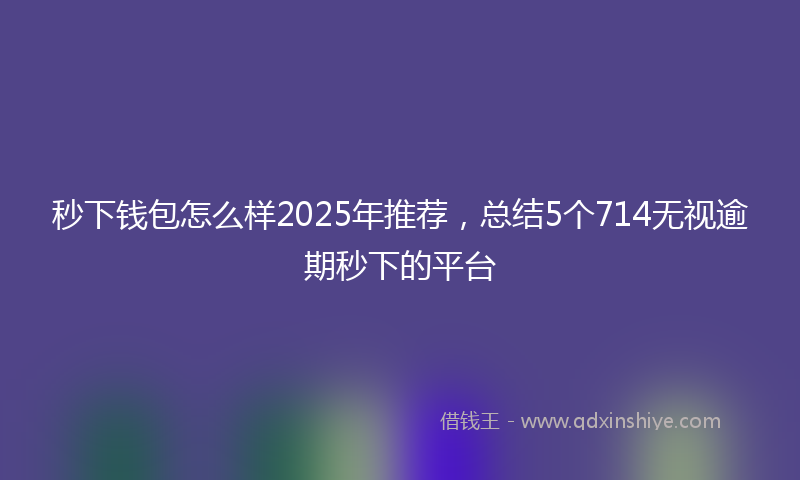 秒下钱包怎么样2025年推荐，总结5个714无视逾期秒下的平台