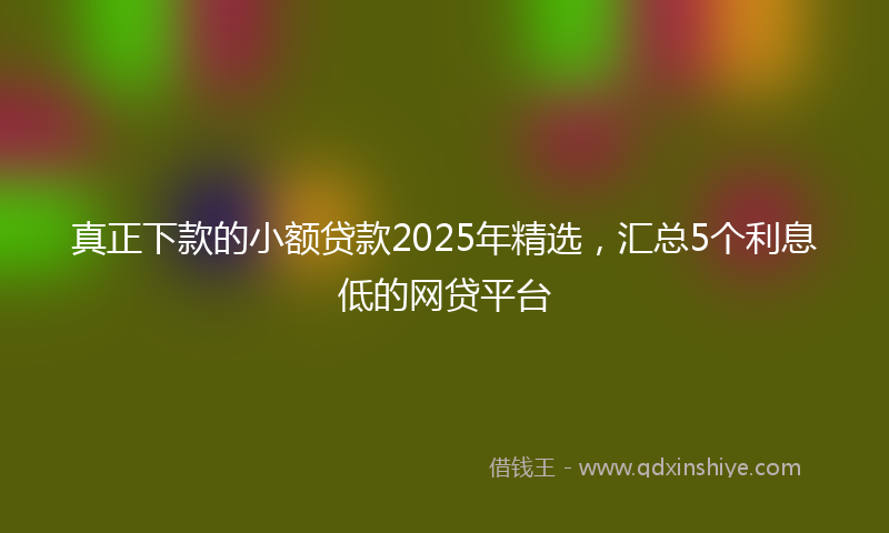 真正下款的小额贷款2025年精选，汇总5个利息低的网贷平台