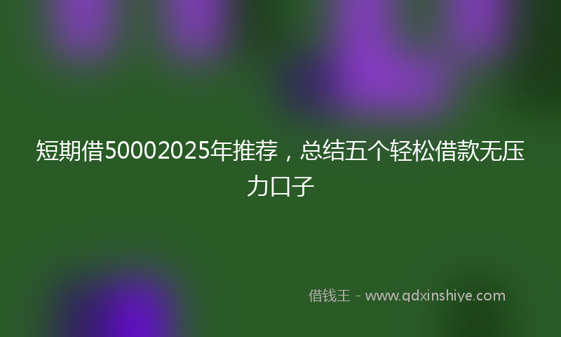 短期借50002025年推荐，总结五个轻松借款无压力口子