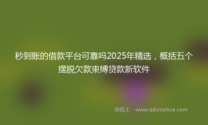 秒到账的借款平台可靠吗2025年精选，概括五个摆脱欠款束缚贷款新软件