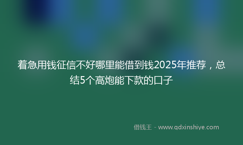 着急用钱征信不好哪里能借到钱2025年推荐，总结5个高炮能下款的口子