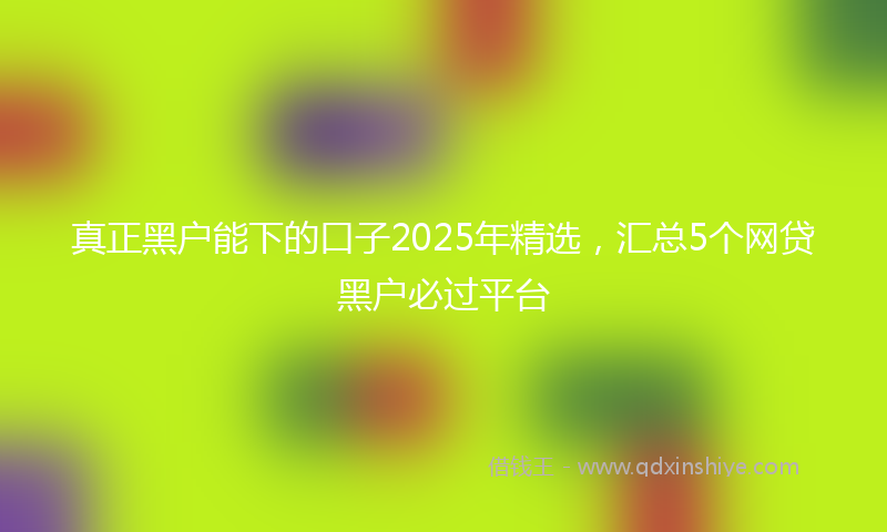 真正黑户能下的口子2025年精选，汇总5个网贷黑户必过平台