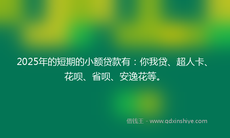 2025年的短期的小额贷款有：你我贷、超人卡、花呗、省呗、安逸花等。