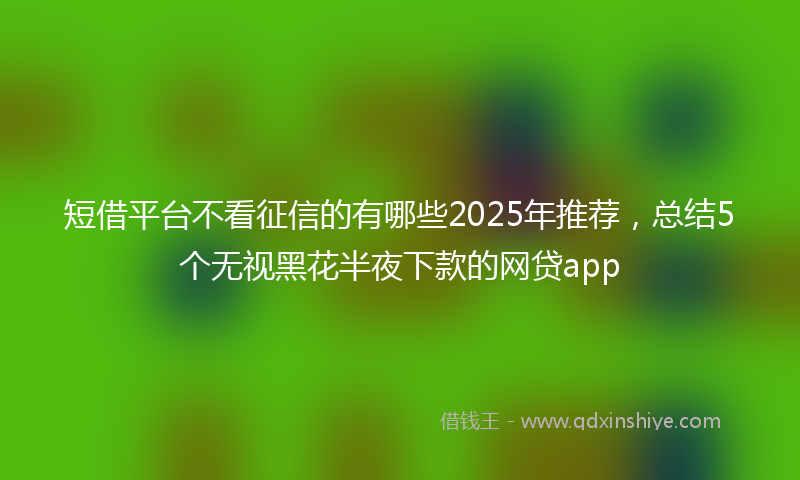 短借平台不看征信的有哪些2025年推荐，总结5个无视黑花半夜下款的网贷app