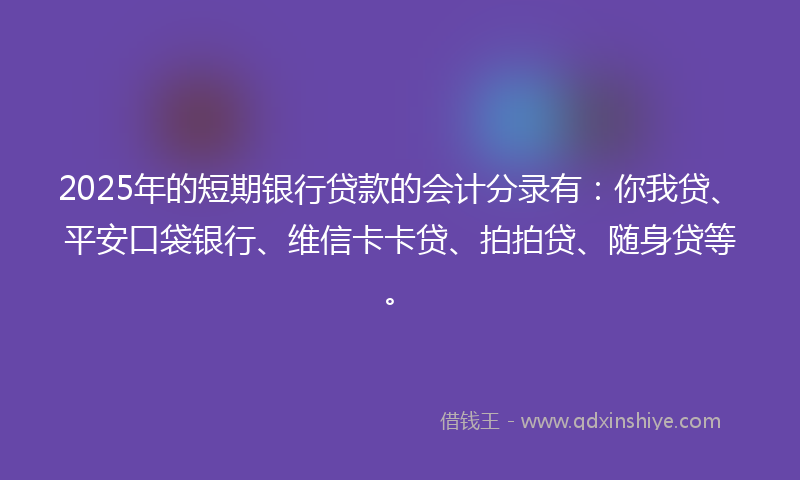 2025年的短期银行贷款的会计分录有：你我贷、平安口袋银行、维信卡卡贷、拍拍贷、随身贷等。
