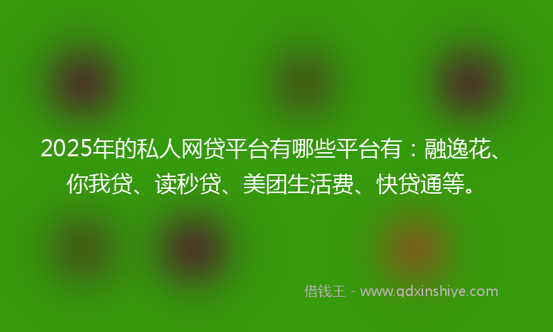 2025年的私人网贷平台有哪些平台有：融逸花、你我贷、读秒贷、美团生活费、快贷通等。