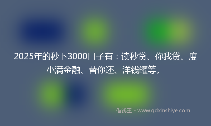 2025年的秒下3000口子有：读秒贷、你我贷、度小满金融、替你还、洋钱罐等。