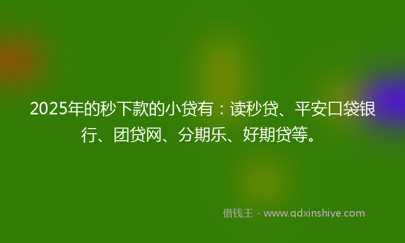 2025年的秒下款的小贷有：读秒贷、平安口袋银行、团贷网、分期乐、好期贷等。